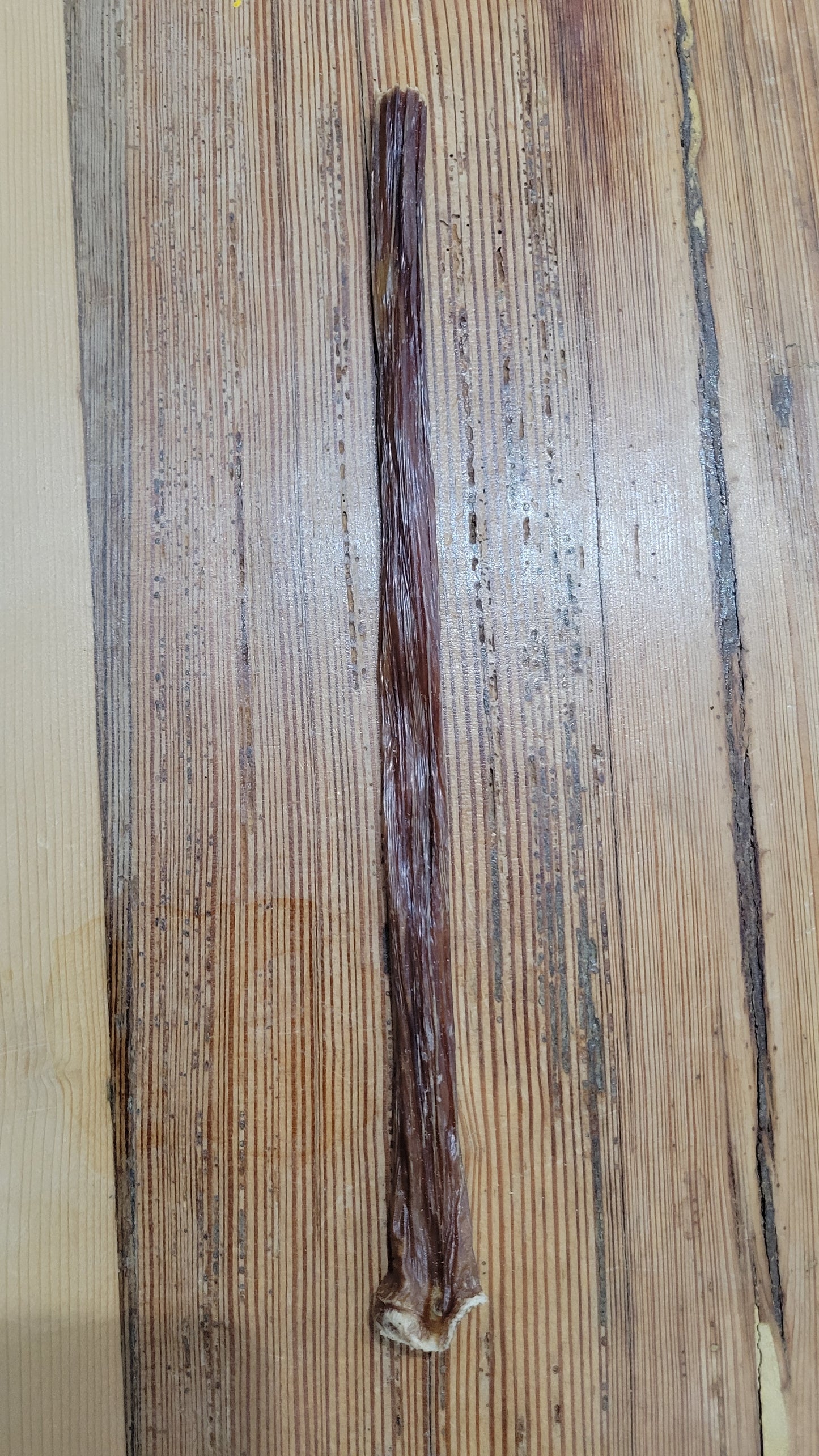 Beef gullet stick
