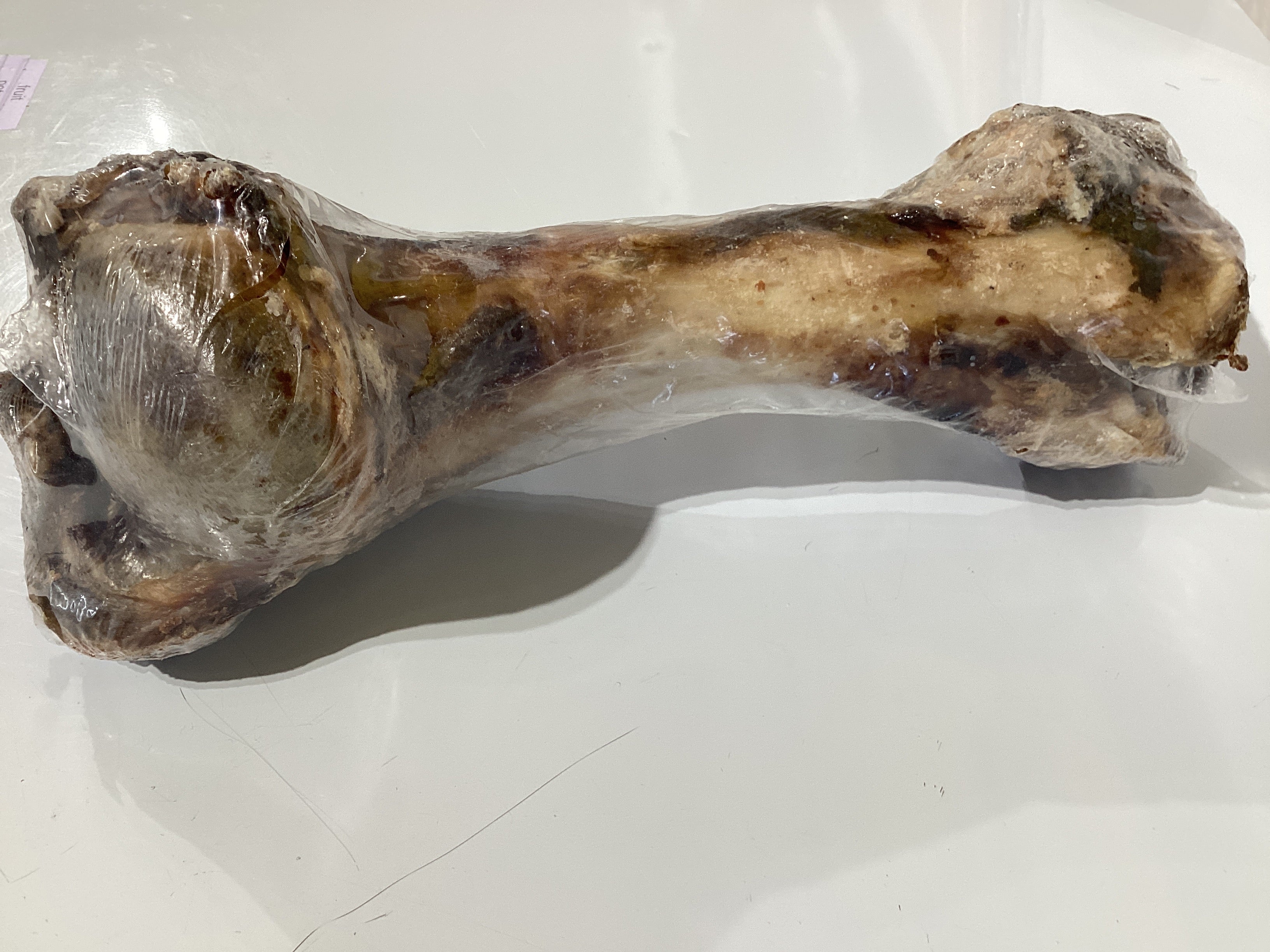 Beef Dino Bone