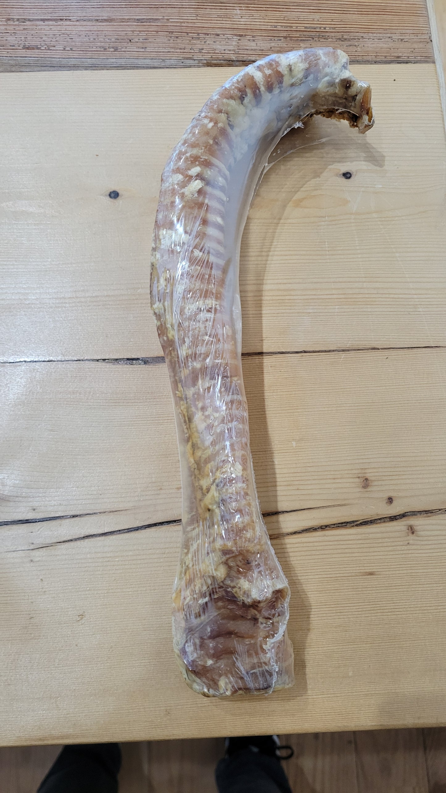Beef Trachea