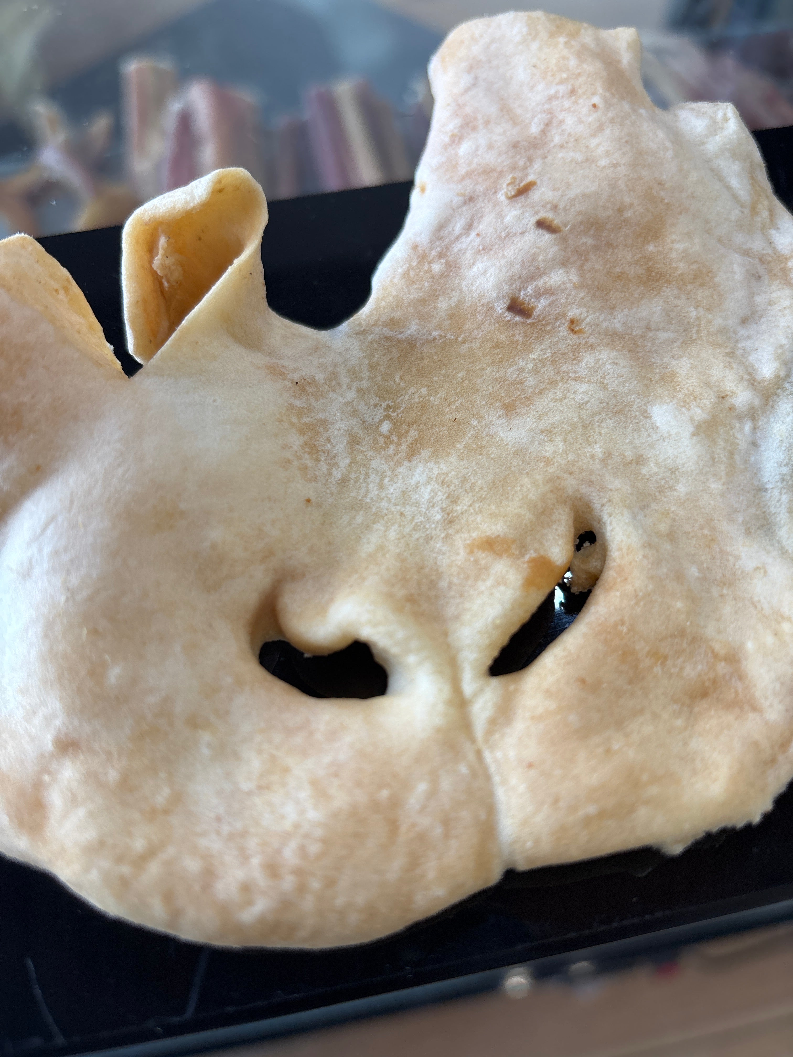Lamb Snout