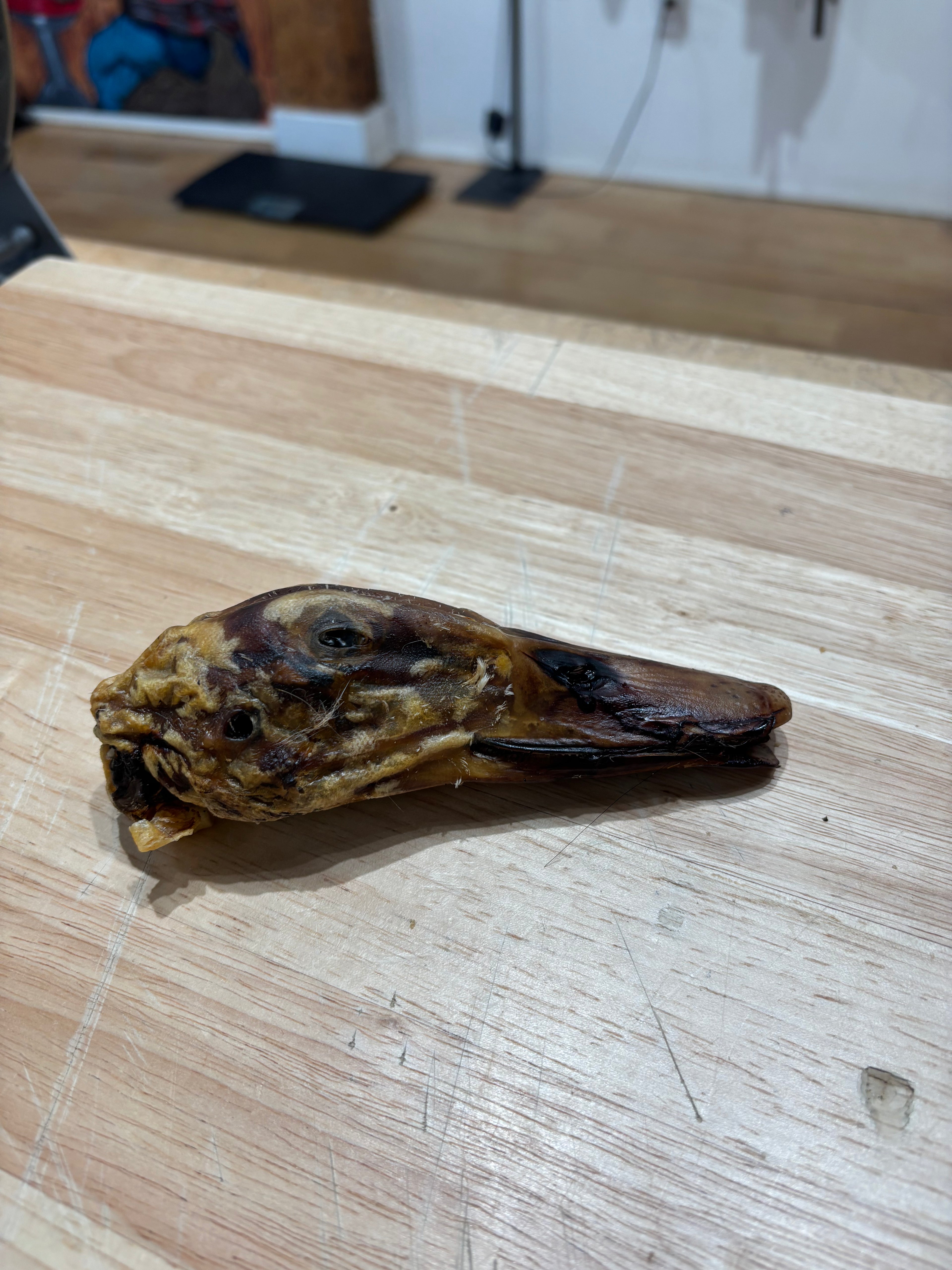 Duck Head