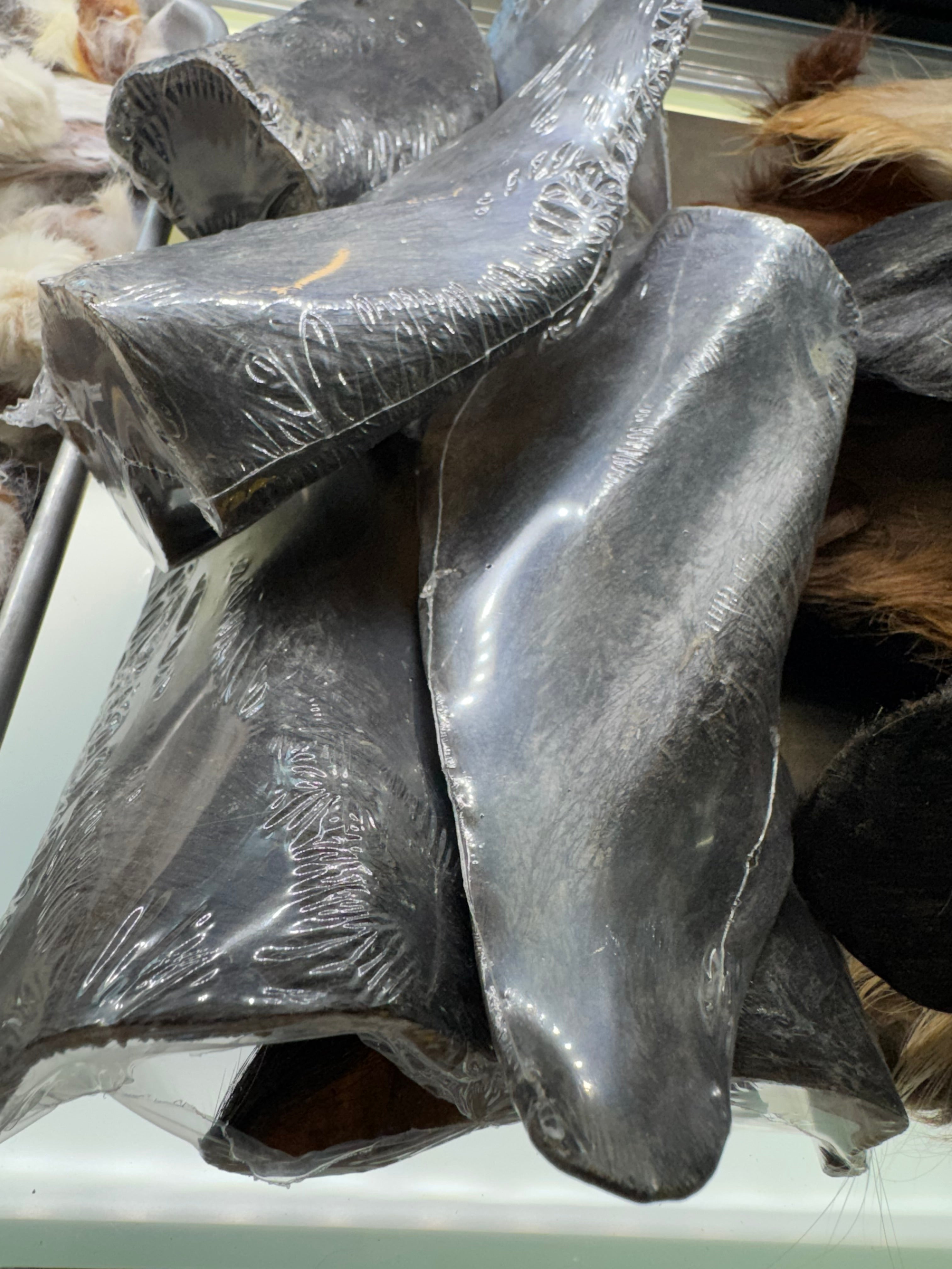 Buffalo Ear