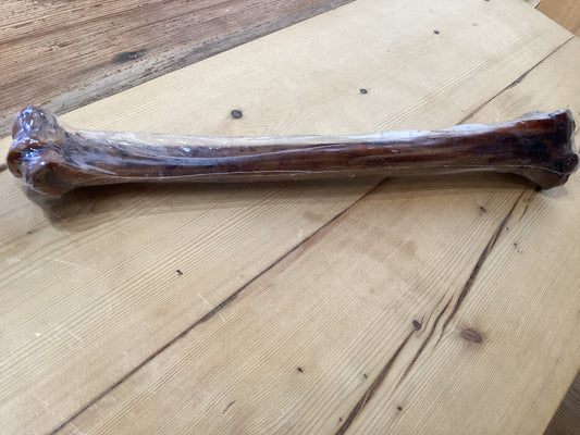 Jumbo Ostrich Bone
